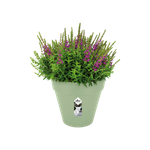 loft urban round 20cm pistache green